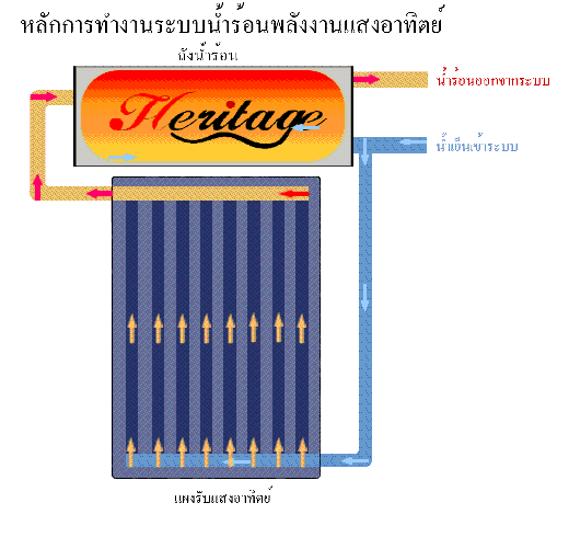 Pang solar collector