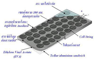 cell07